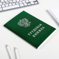 Ежедневник "Трудовая книжка", А5, 80 листов