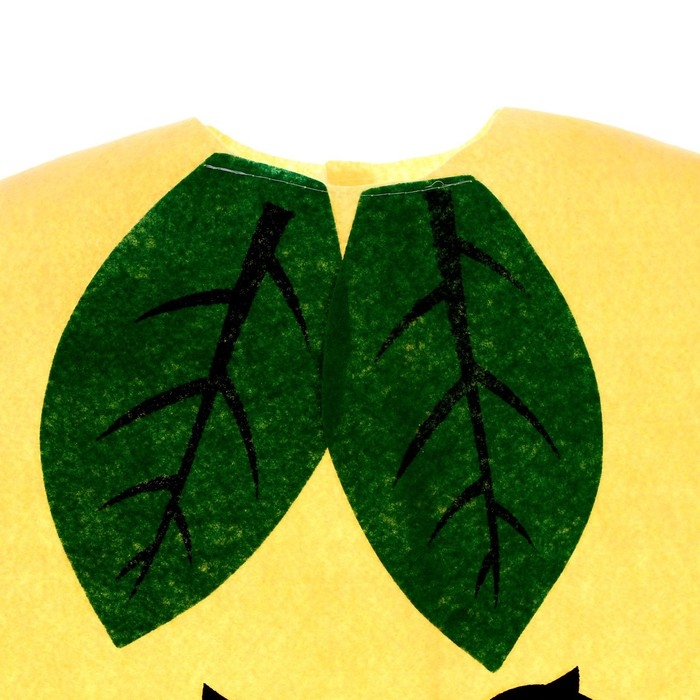 Карнавальный набор &laquo;Милая груша&raquo;, фетр