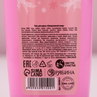 Подарочный набор косметики новогодний &laquo;Верь в мечту&raquo;, гель для душа и пена для ванны, 2 х 250 мл, Новый Год