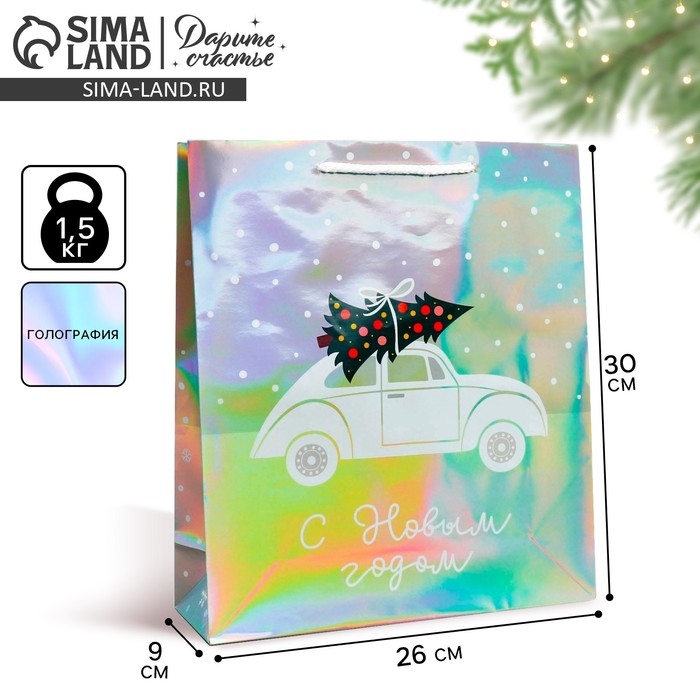 Пакет голографический «Спешу к тебе», M 26 х 30 х 9 см, Новый год Пакет голографический «Спешу к тебе», M 26 х 30 х 9 см, Новый год