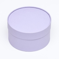 Подарочная коробка "Wewak" бледно-фиолетовая, завальцованная без окна, 18 х 10 см Подарочная коробка "Wewak" бледно-фиолетовая, завальцованная без окна, 18 х 10 см