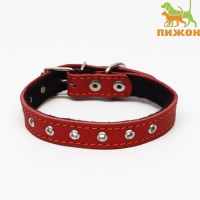 Ошейник кожаный на синтепоне, безразмерный, 45 х 2 см, ОШ 18-39 см, красный Ошейник кожаный на синтепоне, безразмерный, 45 х 2 см, ОШ 18-39 см, красный