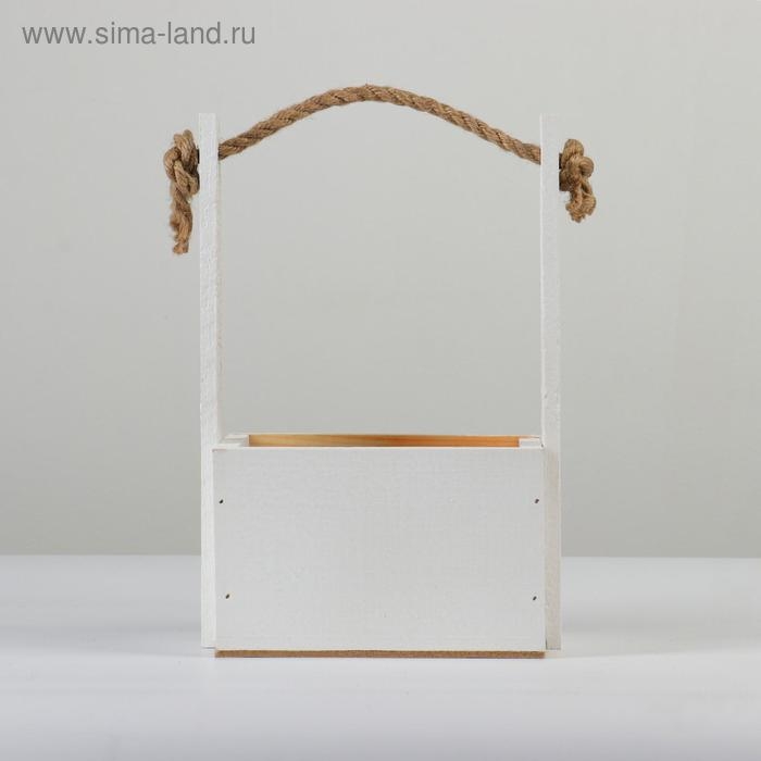 Кашпо деревянное, 15&times;12&times;8.5(25) см "Пауль и Любовь. Орнамент №1", с принтом