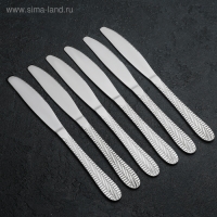 Ножи столовые Доляна &laquo;Фараон&raquo;, длина 20 см, 6 шт, цвет серебряный