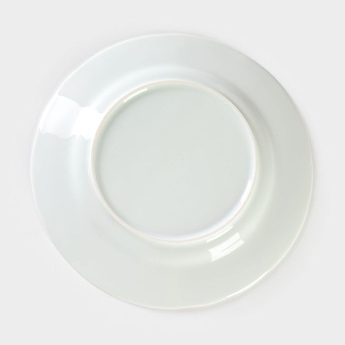 Тарелка фарфоровая &laquo;Надежда. Стильный&raquo;, d=24 см