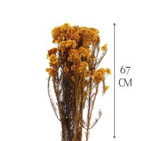 Сухоцвет «Озотамнус» 60 г, цвет оранжевый Сухоцвет «Озотамнус» 60 г, цвет оранжевый
