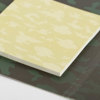 Подарочный набор &laquo;С Днем Защитника Отечества&raquo;: ручка пластик с фигурным клипом и стикеры