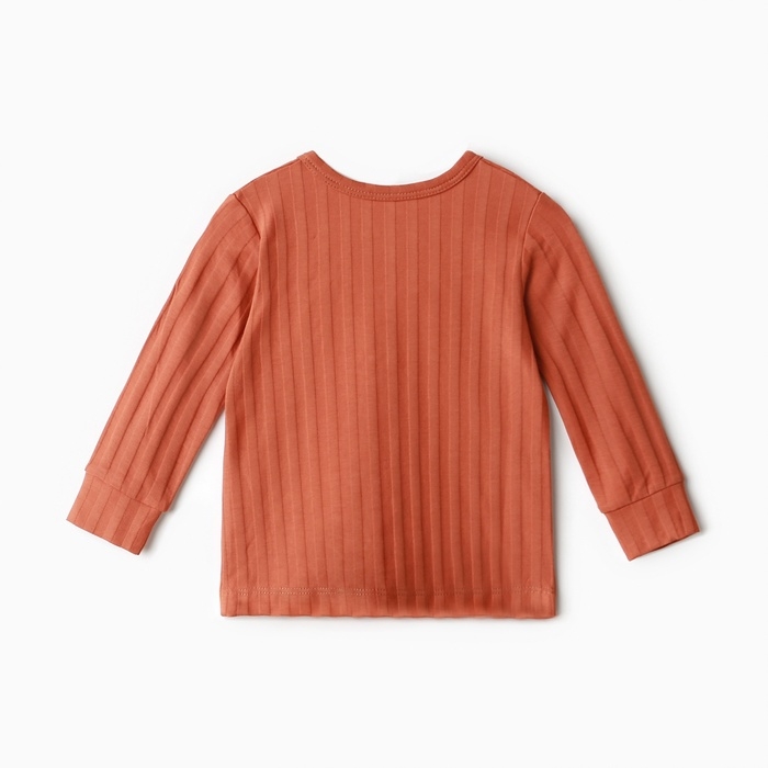 Лонгслив детский, цвет кирпичный, рост 74 см Лонгслив детский, цвет кирпичный, рост 74 см