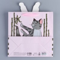 Пакет подарочный, упаковка, &laquo;Йога&raquo;, 22 х 22 х 10 см