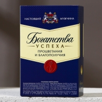 Подарочный набор косметики &laquo;Богатства!&raquo;, гель для душа и шампунь для волос во флаконах виски, 2 х 100 мл, Новый Год