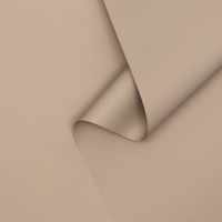 Пленка для цветов тонированная, матовая, серый, 0,5 х 10 м, 65 мкм Пленка для цветов тонированная, матовая, серый, 0,5 х 10 м, 65 мкм