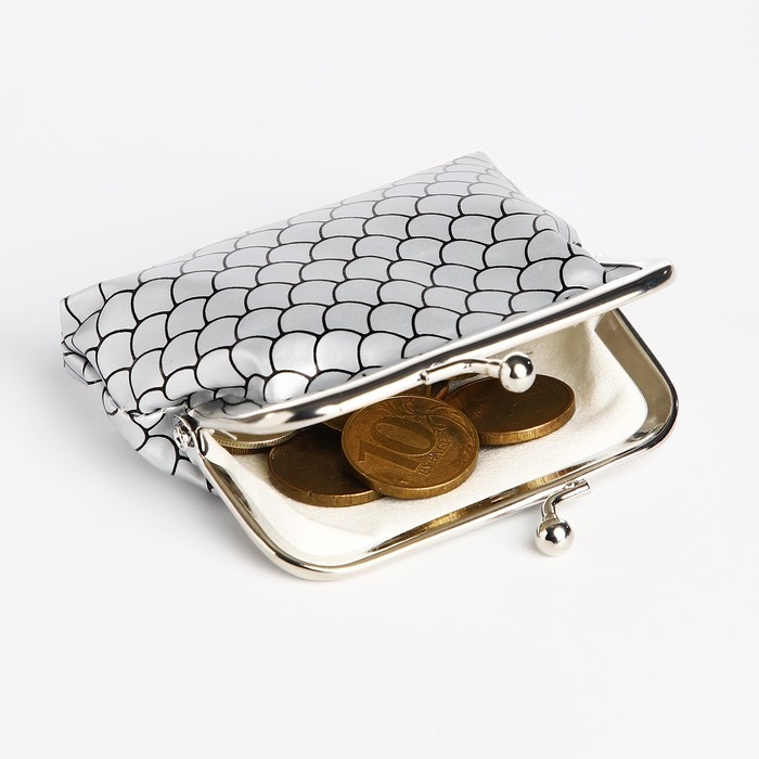 Кошелёк на фермуаре, цвет серебро