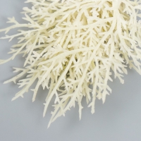 Искусственное растение для творчества "Можжевельник" 1 букет=10 веточек белый 15 см Искусственное растение для творчества "Можжевельник" 1 букет=10 веточек белый 15 см