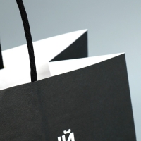 Пакет подарочный крафтовый, упаковка, «Альфа», 22 х 22 х 11 см Пакет подарочный крафтовый, упаковка, «Альфа», 22 х 22 х 11 см