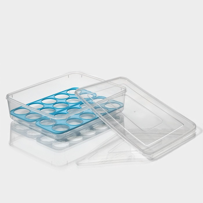 Контейнер для хранения яиц Доляна, 20 ячеек, 27,5×22×7 см, цвет МИКС Контейнер для хранения яиц Доляна, 20 ячеек, 27,5×22×7 см, цвет МИКС