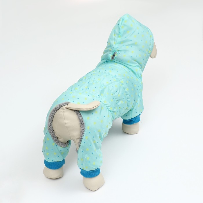 Комбинезон "нежный путь" на меховом подкладе, размер S  (ДС 25, ОШ 25, ОГ 35 см), голубой