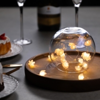 Гирлянда «Нить» 2 м роса с насадками «Цветы», IP20, нить серебристая, 20 LED, 4.6 В, батарейки AG13x3 (в комплекте), 3 режима, свечение тёплое белое Гирлянда «Нить» 2 м роса с насадками «Цветы», IP20, нить серебристая, 20 LED, 4.6 В, батарейки AG13x3 (в комплекте), 3 режима, свечение тёплое белое