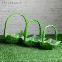 Набор корзин «Полянка», 3 шт, 25×11/32 см, 20×10/28 см, 17×9/23 см, ротанг, сизаль Набор корзин «Полянка», 3 шт, 25×11/32 см, 20×10/28 см, 17×9/23 см, ротанг, сизаль