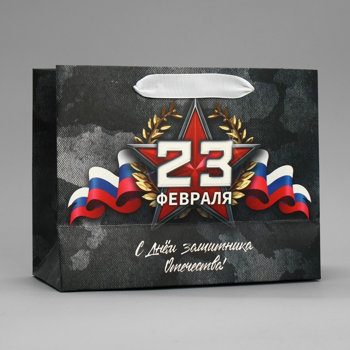 Пакет подарочный ламинированный вертикальный, упаковка, &laquo;23 февраля&raquo;, MS 23 х 18 х 10 см