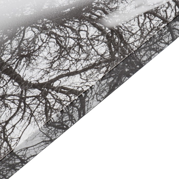 Картина-холст на подрамнике Картина-холст на подрамнике "Мечта" 50х70 см