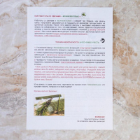 Свеча магическая медовая с можжевельником для защиты дома «Можжевеловые», 12 штук Свеча магическая медовая с можжевельником для защиты дома «Можжевеловые», 12 штук