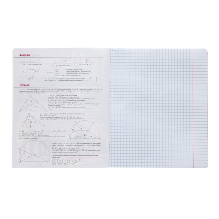 Тетрадь предметная "Зверобудни", 48 листов в клетку "Геометрия", обложка картон, ламинация SoftTouch