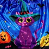 Карнавальный плащ &laquo;Весёлого Хэллоуина&raquo;