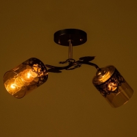 Люстра "Рузанна" 2хЕ27 40Вт черно-золотой 48х26х27 см BayerLux