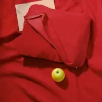 Дорожный плед Pathway 2, красный