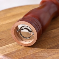 Мельница для специй Доляна, 21×4,5 см, металлический механизм, цвет тёмное дерево Мельница для специй Доляна, 21×4,5 см, металлический механизм, цвет тёмное дерево