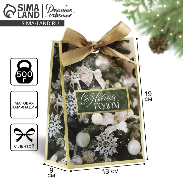 Пакет подарочный новогодний с лентой &laquo;Зима&raquo;, 13 х 19 х 9 см