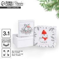 Набор подарочных коробок 3 в 1 «С Новым годом», 18 х 18 х 10‒22 х 22 х 12 см, Новый год Набор подарочных коробок 3 в 1 «С Новым годом», 18 х 18 х 10‒22 х 22 х 12 см, Новый год