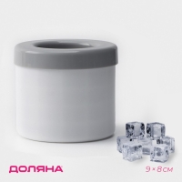 Форма для льда Доляна, 9&times;8 см, цвет белый/серый