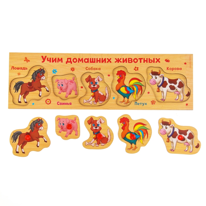 Рамка - вкладыш &laquo;Учим домашних животных&raquo;, 5 элементов