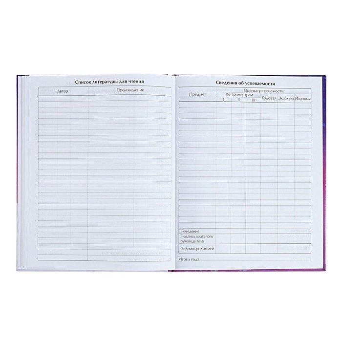 Дневник для 1-4 классов Дневник для 1-4 классов "Нежные мечты", твёрдая обложка, голография, 48 листов