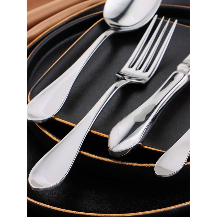 Набор столовых приборов «Уиттон», 4 предмета, цвет серебряный Набор столовых приборов «Уиттон», 4 предмета, цвет серебряный