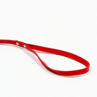 Поводок "Основа" 120 х 1 см, красный Поводок "Основа" 120 х 1 см, красный