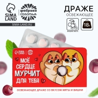 Драже освежающее &laquo;Мурчит для тебя&raquo;, со вкусом мяты и вишни, 18 г.