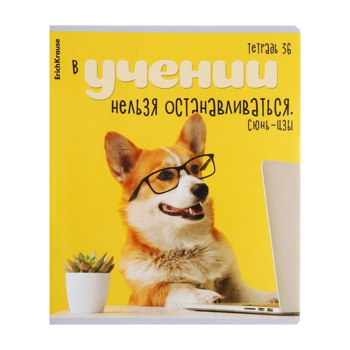 Тетрадь 36 листов в клетку, ErichKrause Тетрадь 36 листов в клетку, ErichKrause "Ученые собаки", обложка мелованный картон, блок офсет 100% белизна, МИКС