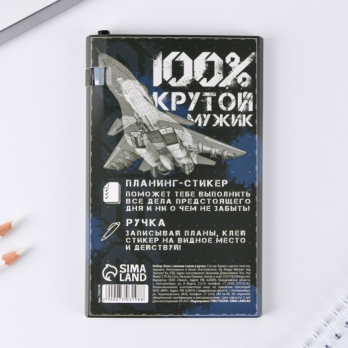 Подарочный набор &laquo;23.02&raquo;: планинг-стикеры 30 листов, ручка пластик