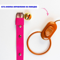 Интерактивный щенок &laquo;Мой друг&raquo;, ходит, лает, поёт песенку, виляет хвостом