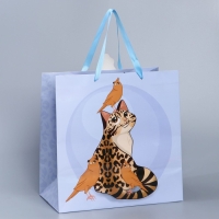 Пакет подарочный, упаковка, &laquo;Кот&raquo;, 30 х 30 х 15 см