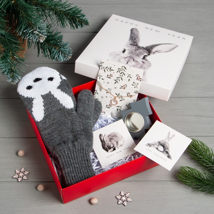 Новогодний подарочный набор "Зайка", варежки р-р 19 и аксессуары