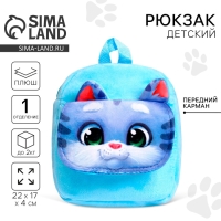 Рюкзак детский плюшевый для девочки &laquo;Котик&raquo;, с карманом, 22 &times; 17 см