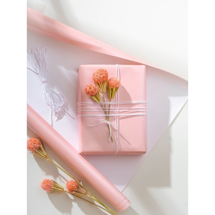 Шнур для декорирования Шнур для декорирования "Астра" вощеный, 1 мм х 1 м, набор 20 шт (черно-белый)