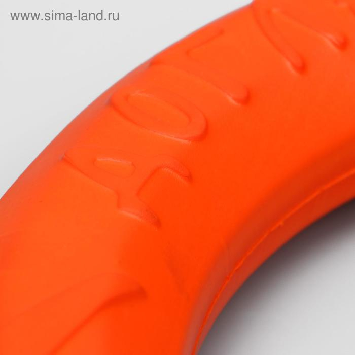 Кольцо Кольцо "ДогЛайк" D-2611, 8-мигранное, большое, ⌀ 30,5 см