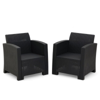 Набор кресел Бора 68 х 66 х 76 см, антрацит, 2 штуки Набор кресел Бора 68 х 66 х 76 см, антрацит, 2 штуки