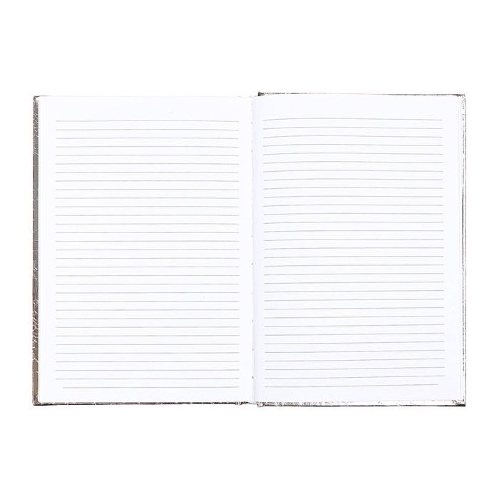 Ежедневник недатированный, A5, 136 листов, Attomex. Arkona, твердая обложка, бумвинил с поролоном, ляссе, блок 70%, серый