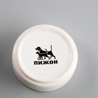 Миска керамическая для грызунов "Сытая мордочка" 80 мл 8,5 х 3 см Миска керамическая для грызунов "Сытая мордочка" 80 мл 8,5 х 3 см