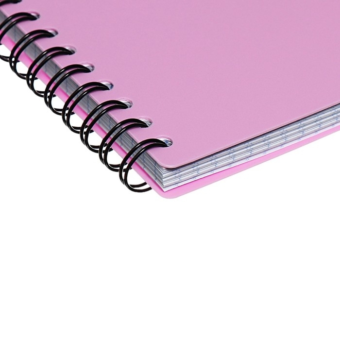 Тетрадь на спирали, 80 листов в клетку, ErichKrause Brave cats, пластиковая обложка, блок офсет 100% белизна, фиолетовая